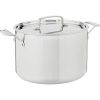 Cuisinart 16 Qt Enamel on Steel Stockpot with Cover Caskata Collection 4