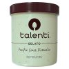 Talenti Gelato Pacific Coast Pistachio Delicious Frozen Dessert 1 Pint
